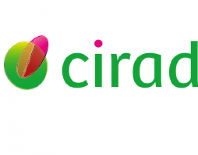 Newsletter du Cirad – Partnering4Impact