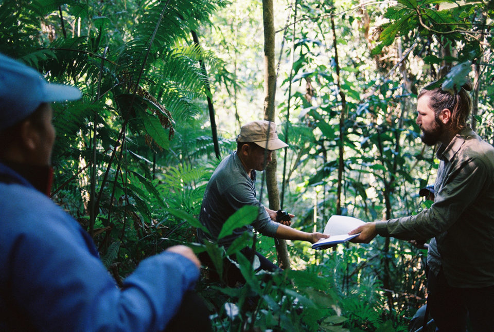 SUIVI DE BIODIVERSITÉ